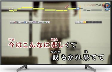スマホでカラオケをテレビの大画面で!カラオケボックスさながらに